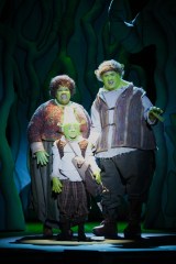 "...And so the little orgre went off and found a muddy patch of swamp land, far, far away." (Emilie Lafontaine is Little Shrek; Amber J. Snead & Michael Cavinder are Mama & Papa Ogre)