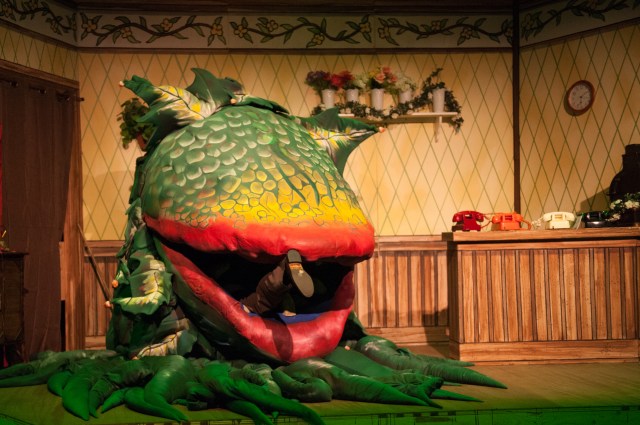 1.“One More Productions” Presents “Little Shop Of Horrors” October 10-November 1, 2015, At “The Gem Theatre” In Garden Grove, CA. (www.onemoreproductions.com)